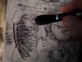Thoracoabdominal Wall - Video Lecture - Part 8