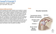 Youssef`s Concept 5