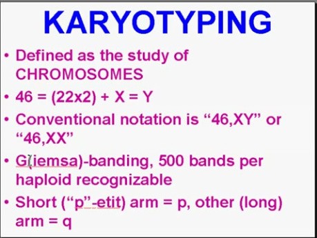 Genetic Disorders - MSP - 5e