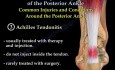 Posterior Ankle, Anatomy And Injury 
