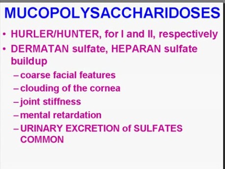 Genetic Disorders - MSP - 5d