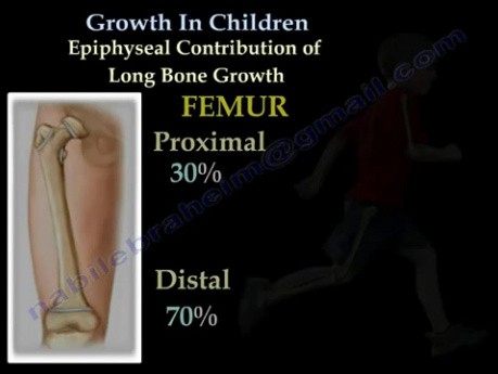 Growth In Children 