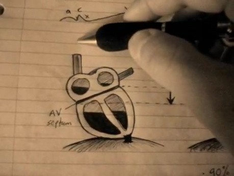 Ventricular filling - Heart Physiology Lecture