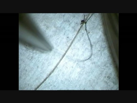 Microsurgery Tutorials. Bonus: Thinner than a strand of hair!